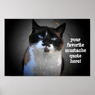 Póster Te echo el bigote para llenar el vacío