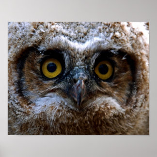 Póster Te estoy vigilando