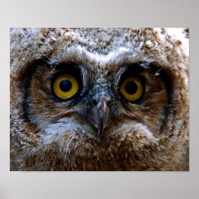 Póster Te estoy vigilando (Frente)