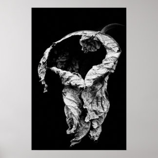 Póster te he esperado