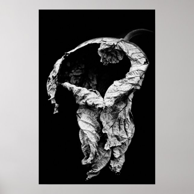 Póster te he esperado (Frente)