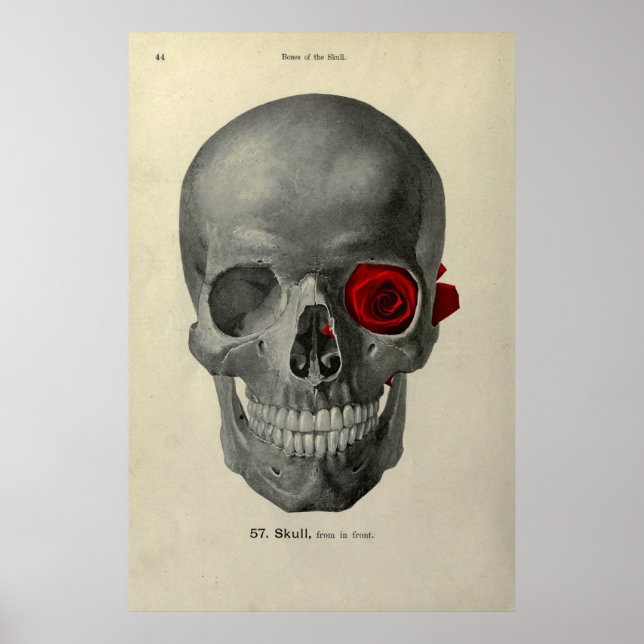 Póster Te quiero por siempre poster (Frente)