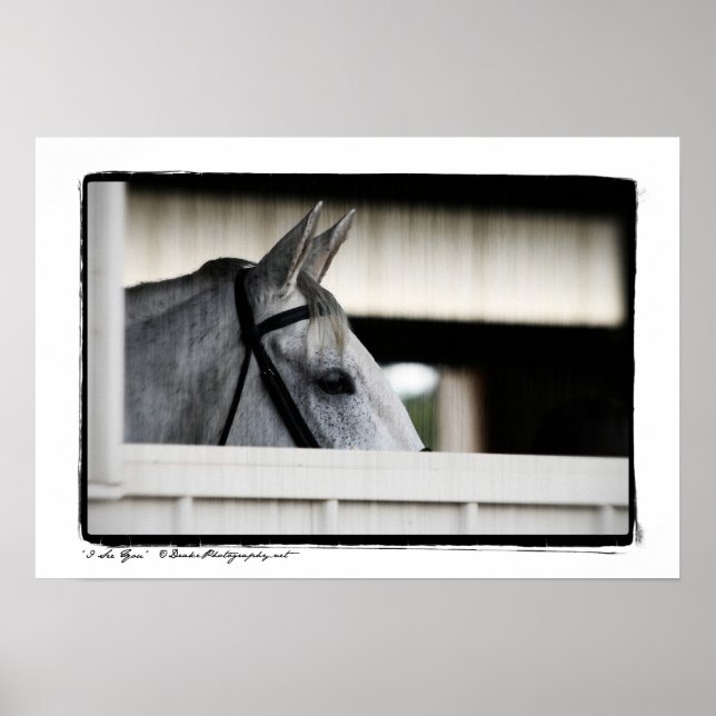 Póster Te veo (Frente)