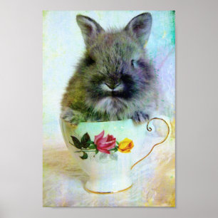 Póster Teacup Bunny
