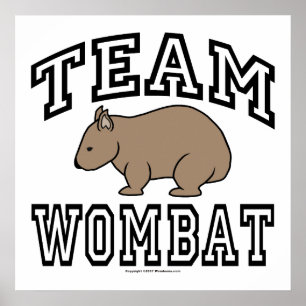 Póster Team Wombat