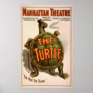 Póster Teatro Nueva York Broadway de Manhattan la tortuga