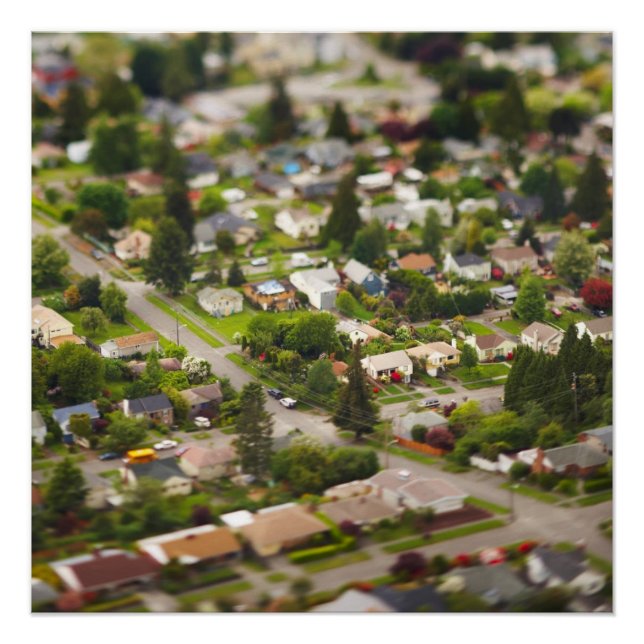 Póster Técnica #1- Lentes de inclinación/cambio (Anverso)