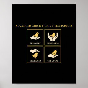 Póster Técnicas avanzadas de ligar con pollitas Humor de