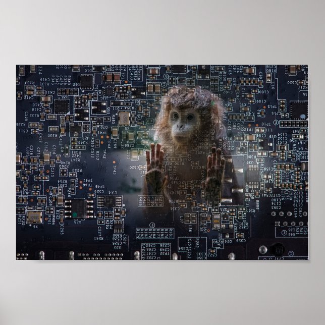 Póster Tecnología y naturaleza. (Frente)