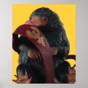 Póster Teddy Con El Gráfico De Tie