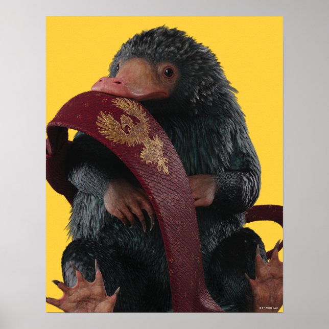 Póster Teddy Con El Gráfico De Tie (Frente)