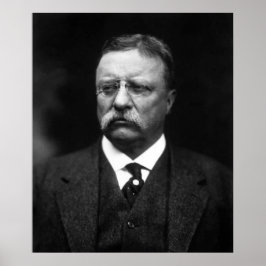 Póster Teddy Roosevelt