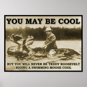 Póster Teddy sobre un Poster gracioso de Moose