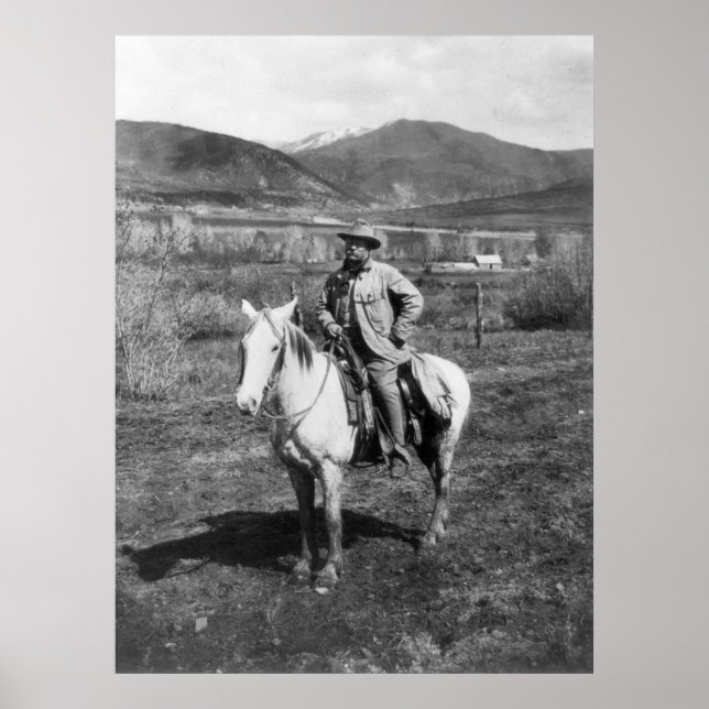 Póster Teddy va a la caza del oso, 1905 (Frente)