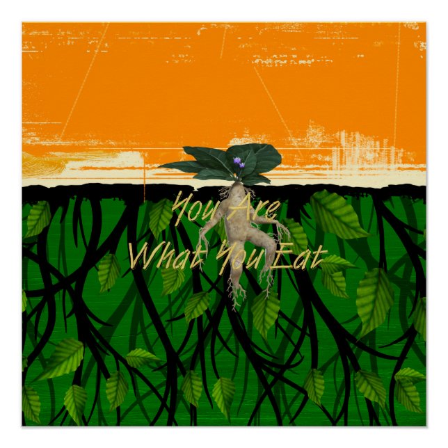 Póster TEE Fun Food Slogan (Anverso)