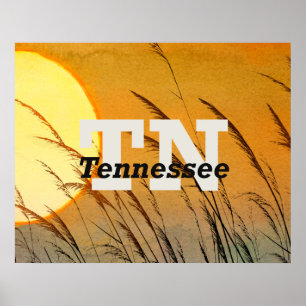 Póster TEE Tennessee