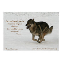 Tehya en Freedom Wolflection Poster