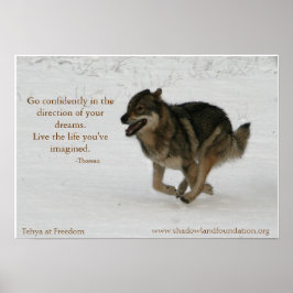 Póster Tehya en Freedom Wolflection Poster