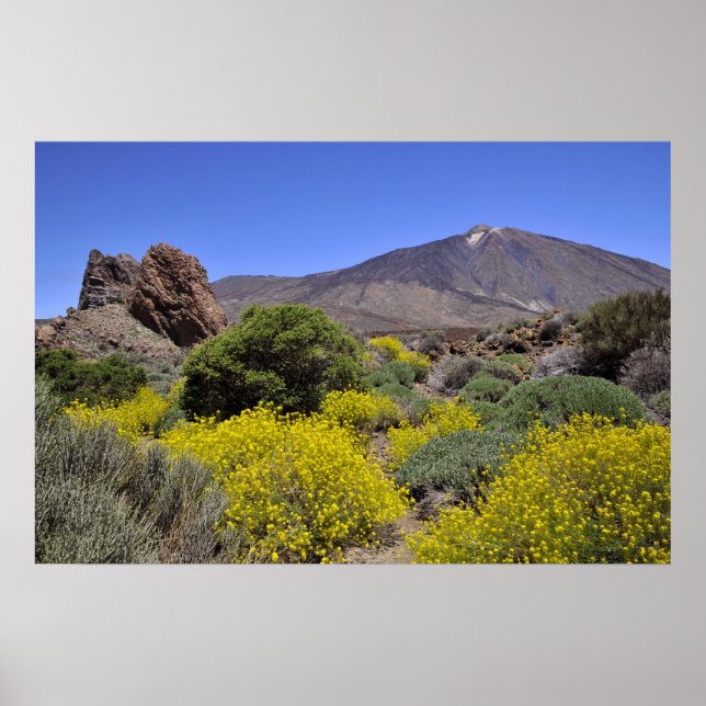 Póster Teide en la isla Canaria (Frente)