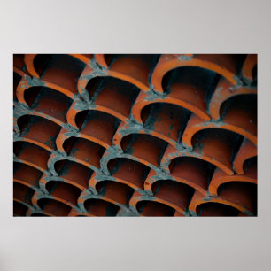 Póster tejado de naranja