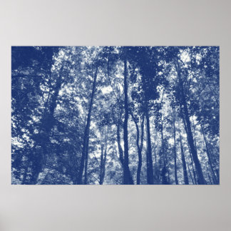 Póster Tejido de bosques - Efecto cianotipio