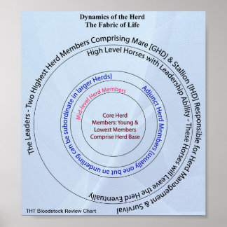 Póster Tela dinámica de vida de rebaño