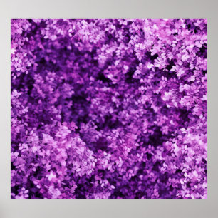 Póster Tela real de punto, fondo texturado.