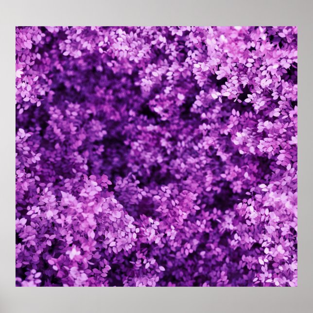 Póster Tela real de punto, fondo texturado. (Frente)