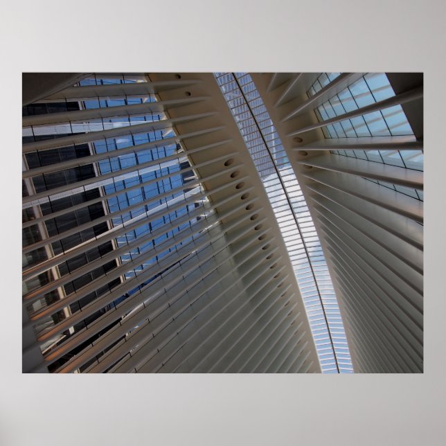 Póster telaraña arquitectónica (Frente)