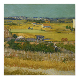 Póster telaraña de arte de pintura Vincent van Gogh