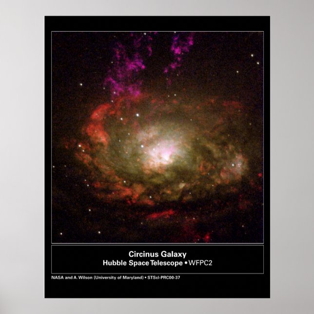 Póster Telescopio Circinus Galaxy Hubble (Frente)