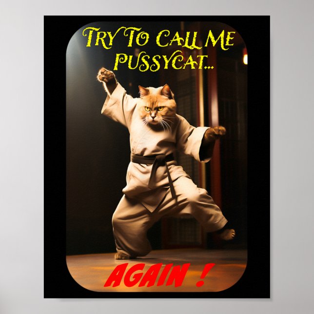 Póster Tema humorístico de Karate (Frente)