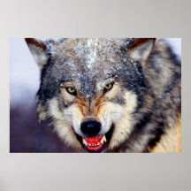 Temeroso Poster Wolf