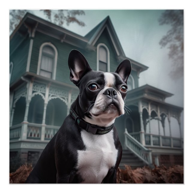 Póster Temeroso susto de Halloween en Boston Terrier (Anverso)