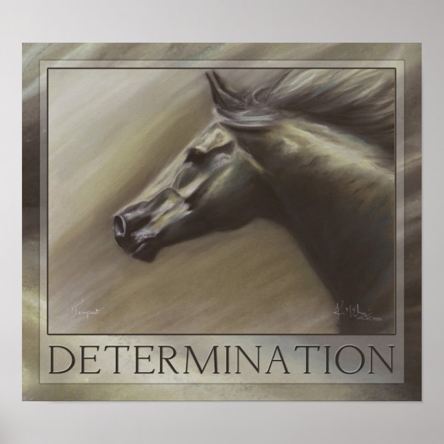 Póster Tempest (Frente)