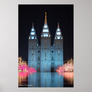 Póster Templo reflejado
