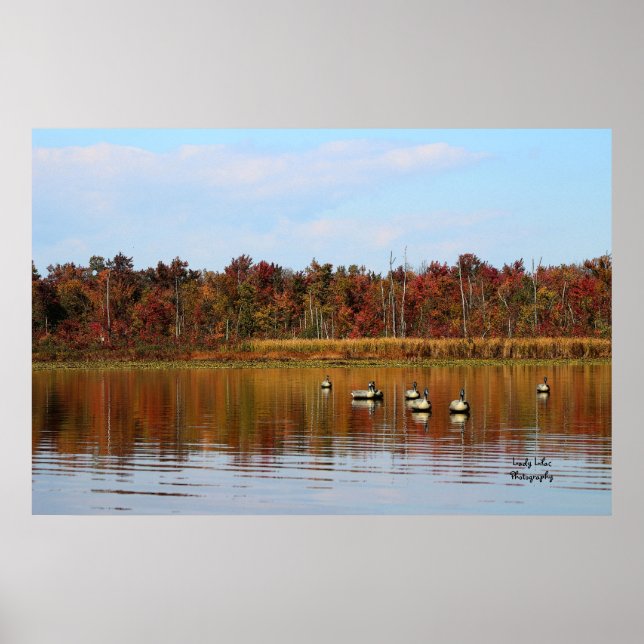 Póster Temporada de Duck (Frente)