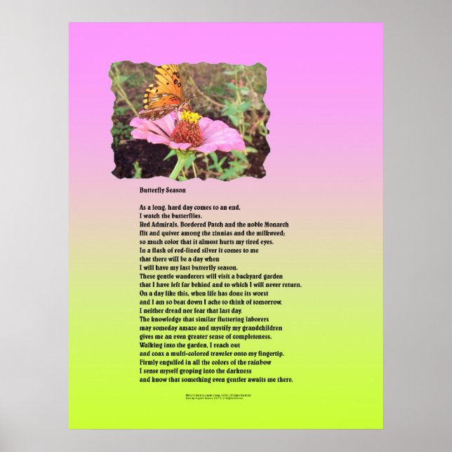 Póster Temporada de mariposa (Frente)