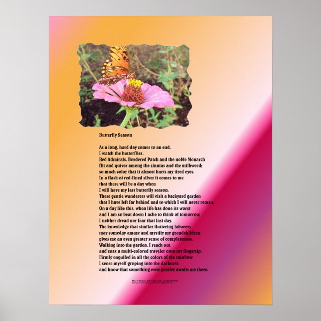 Póster Temporada de mariposas - Desierto (Frente)