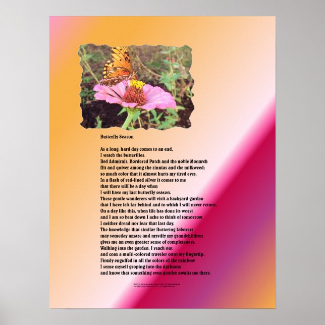 Póster Temporada de mariposas - Desierto (Frente)