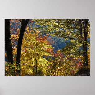 Póster Temprano por la mañana del otoño en la montaña occ