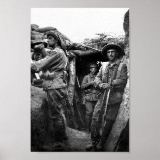 Póster Tendencias de Pino solitario, Poster de Gallipoli