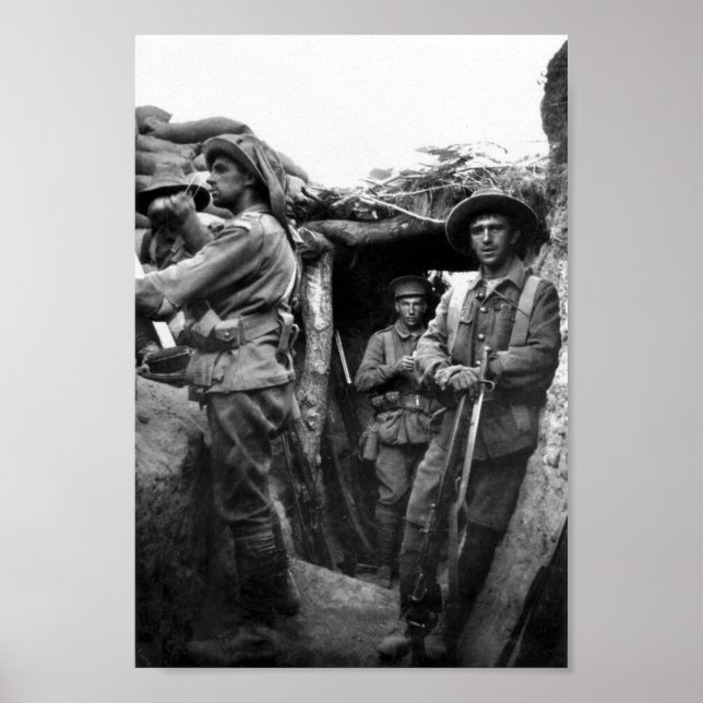 Póster Tendencias de Pino solitario, Poster de Gallipoli (Frente)