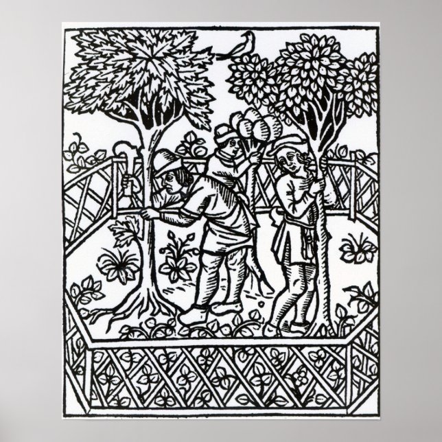 Póster Tending Vines (Frente)