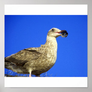 Póster Tener algunos