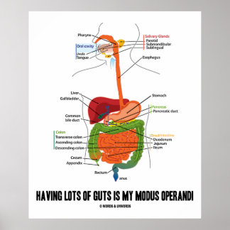 Póster Tener Mucha Gente Es Mi Modus Operandi