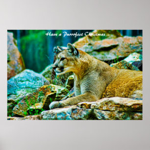 Póster Tener Navidades perfectos