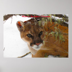 Póster Tener Navidades perfectos