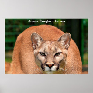 Póster Tener Navidades perfectos