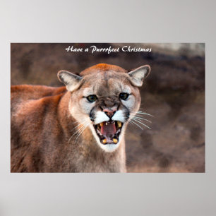 Póster Tener Navidades perfectos